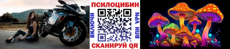 omg как войти  Новая Ляля  Галлюциногенные грибы Cubensis 