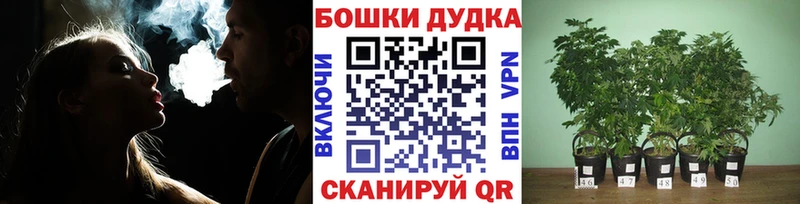 Канабис White Widow  даркнет сайт  Новая Ляля 